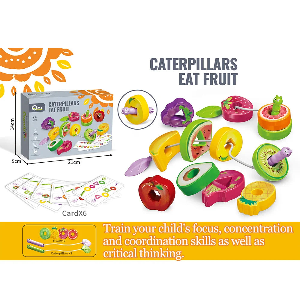 Montessori Shape & Color Sorting Toy
