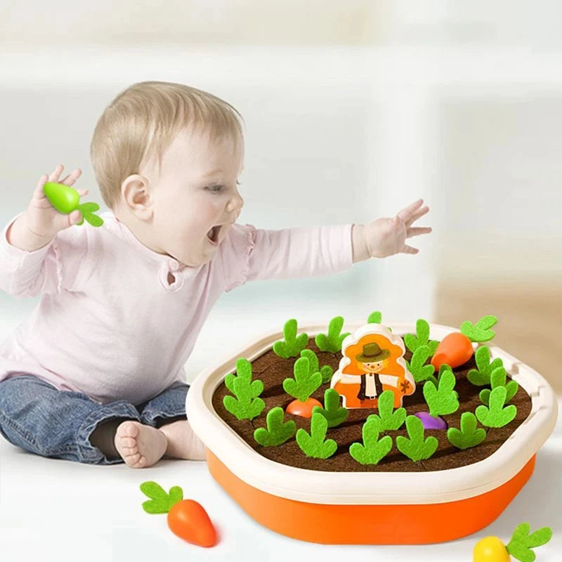 Montessori Sorting & Matching Toy