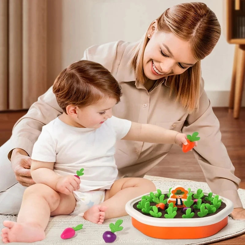 Montessori Sorting & Matching Toy