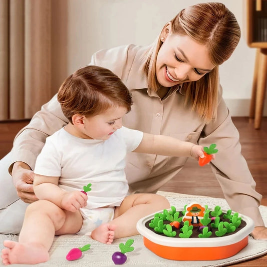 Montessori Sorting & Matching Toy