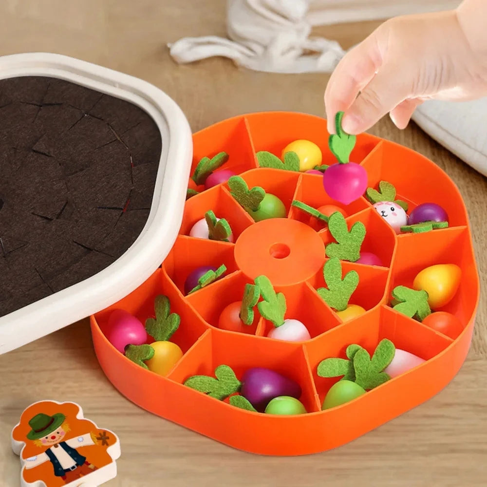 Montessori Sorting & Matching Toy