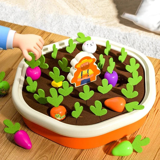 Montessori Sorting & Matching Toy